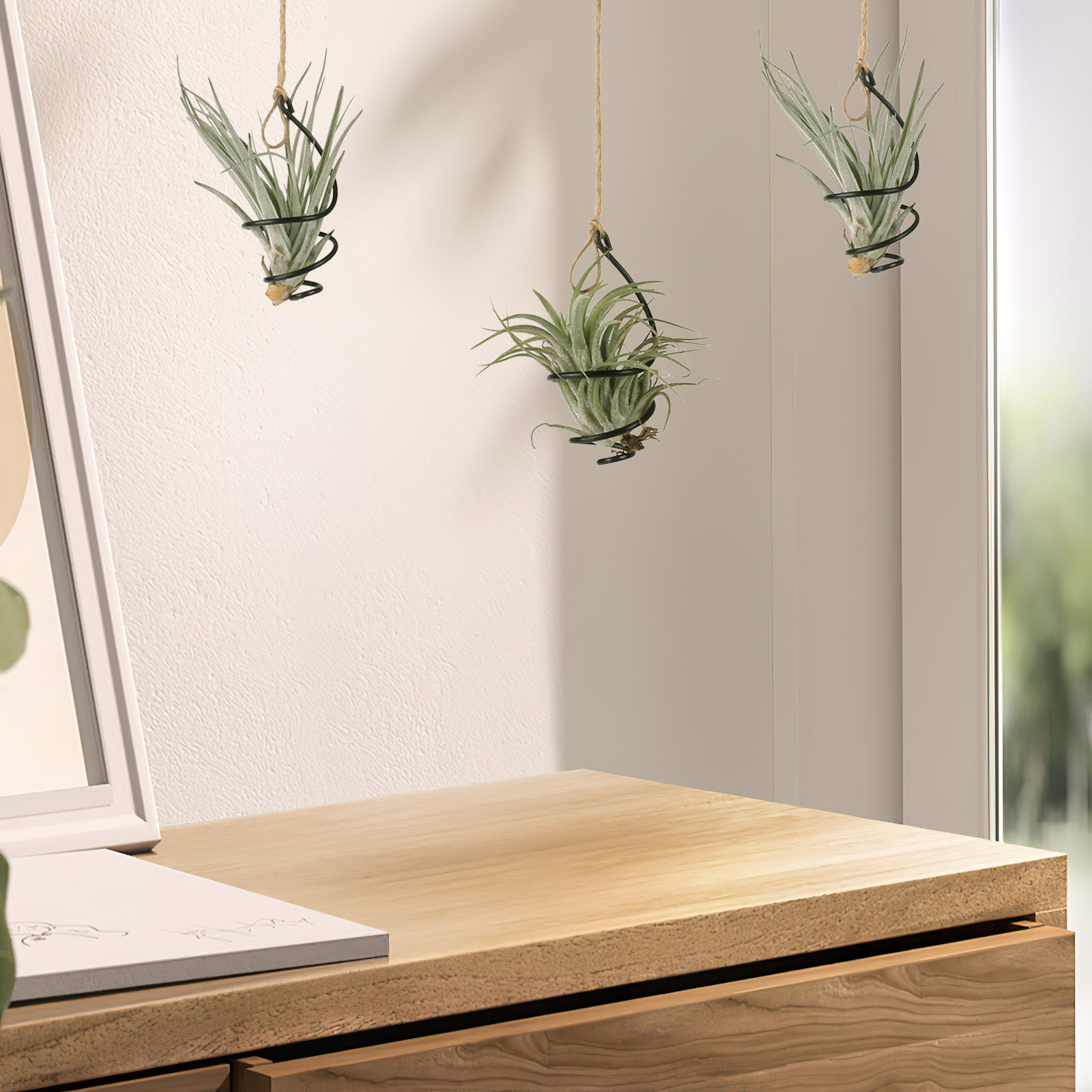 Air Plant Tillandsia - 30 buah Penyangga Tanaman Udara Logam,