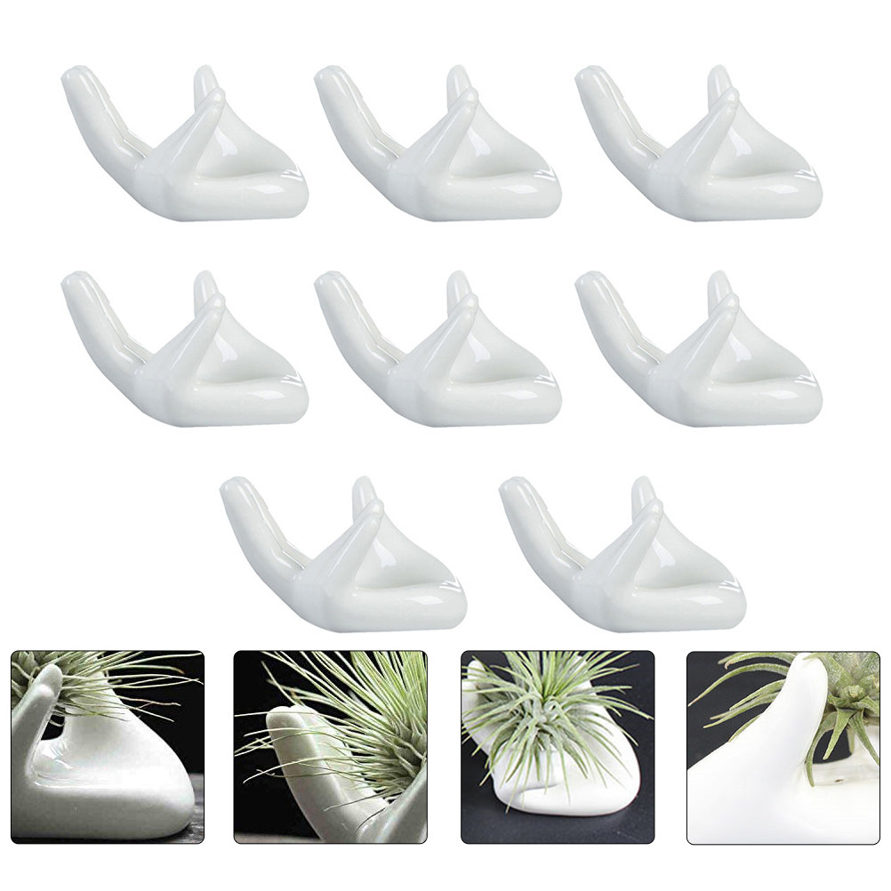 8 Buah Alas Ocarina Keramik, T - Air Plant Tillandsia ulasan dan harga