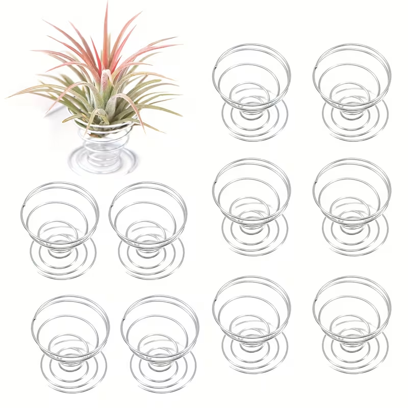 1/10PCS Set Penyangga Pegas Lo - Air Plant Tillandsia ulasan dan harga