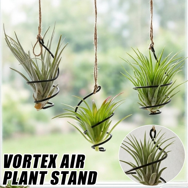 Penyangga Tanaman Gantung, Gan - Air Plant Tillandsia ulasan dan harga
